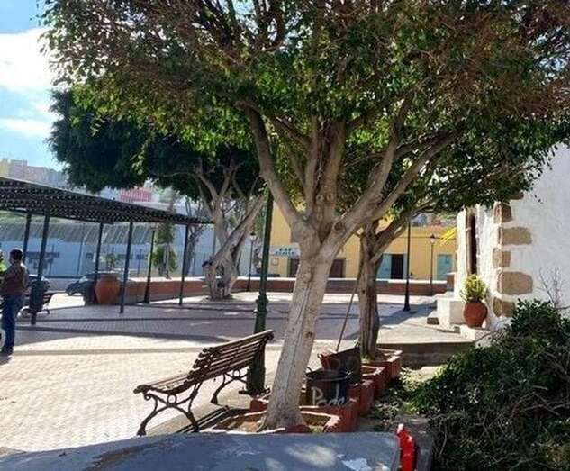 Plaza de Jinámar/TA.